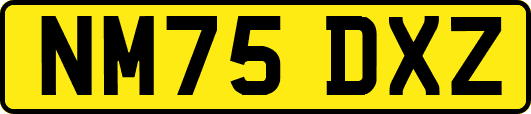 NM75DXZ