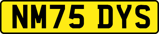 NM75DYS