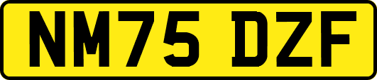 NM75DZF