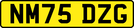 NM75DZG