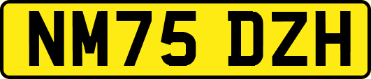 NM75DZH