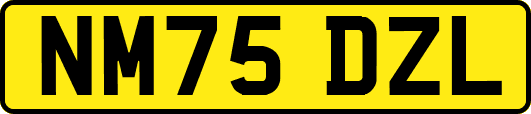 NM75DZL