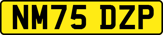 NM75DZP