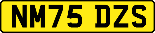 NM75DZS