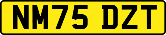 NM75DZT