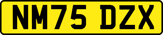 NM75DZX