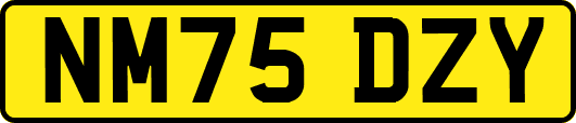 NM75DZY
