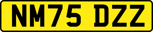 NM75DZZ