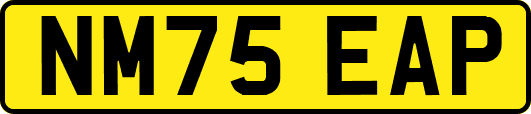 NM75EAP