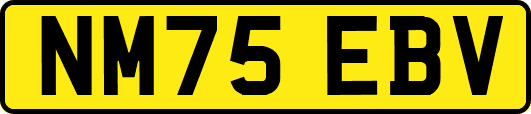 NM75EBV