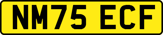 NM75ECF
