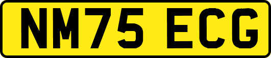 NM75ECG
