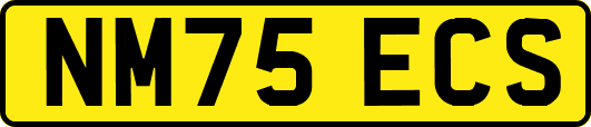 NM75ECS