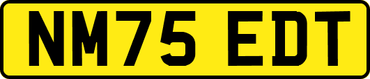 NM75EDT