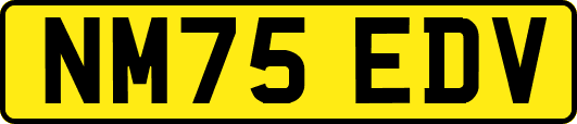 NM75EDV