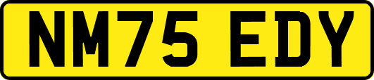 NM75EDY