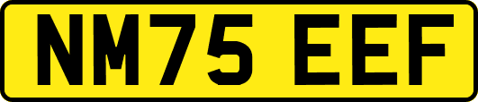 NM75EEF