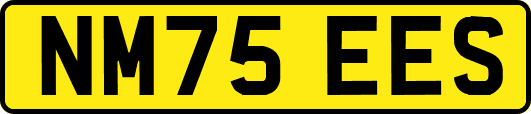NM75EES