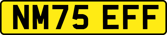 NM75EFF