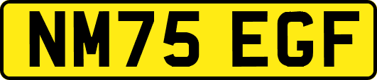 NM75EGF