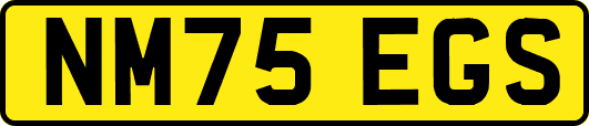 NM75EGS