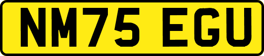 NM75EGU