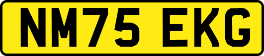 NM75EKG