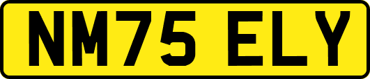 NM75ELY