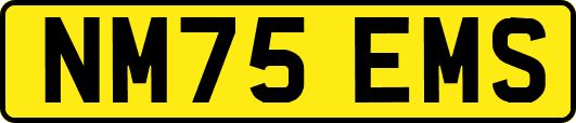 NM75EMS