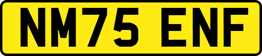 NM75ENF