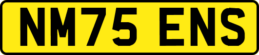 NM75ENS