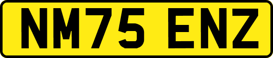 NM75ENZ