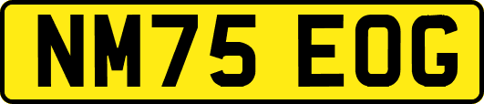 NM75EOG