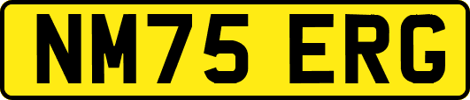 NM75ERG