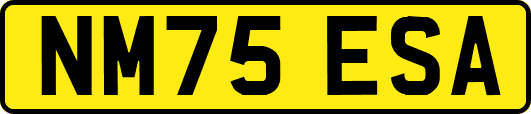 NM75ESA