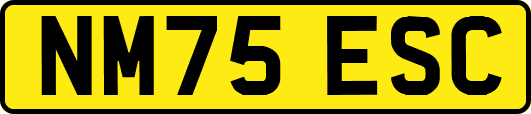NM75ESC