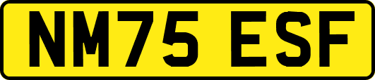 NM75ESF