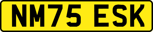 NM75ESK