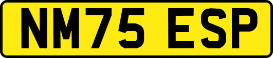 NM75ESP