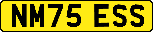 NM75ESS