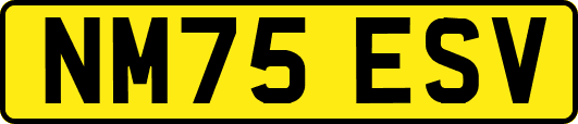NM75ESV