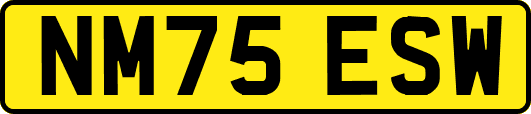 NM75ESW
