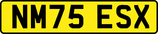 NM75ESX
