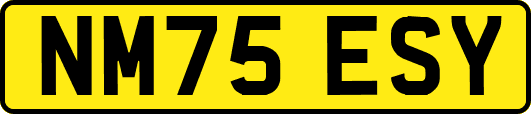 NM75ESY