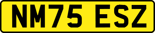 NM75ESZ
