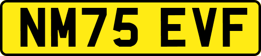 NM75EVF