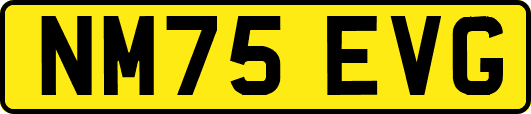NM75EVG