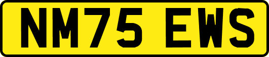 NM75EWS