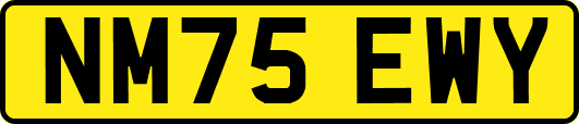 NM75EWY