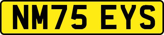 NM75EYS